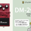 DM-2W