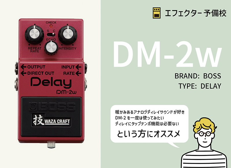 DM-2W