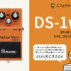 BOSS / DS-1W