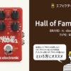 TC ELECTRONIC / Hall of Fame 2