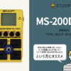 ZOOM / MS-200D+